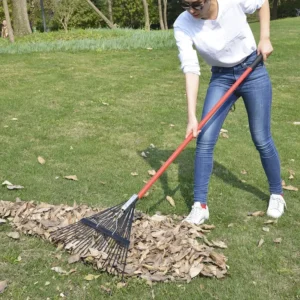 Garden Leaf Rake